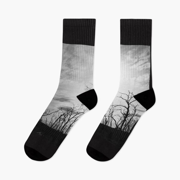 Item preview, Black and white tree skeletons. designed and sold by Anne Scantlebury.