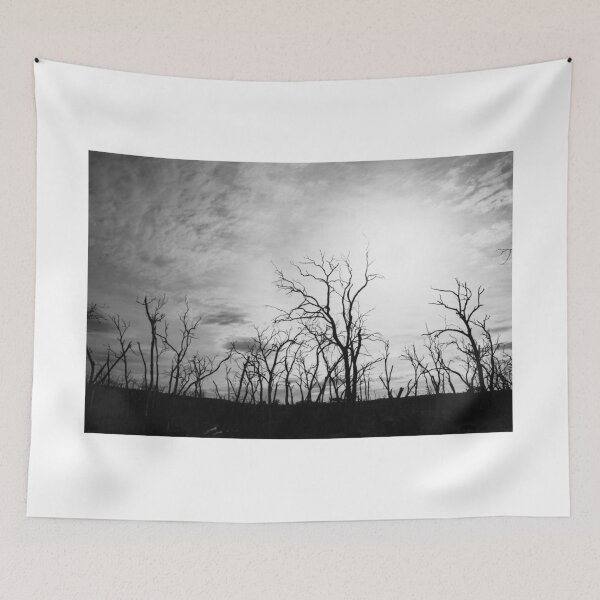 Item preview, Black and white tree skeletons. designed and sold by Anne Scantlebury.