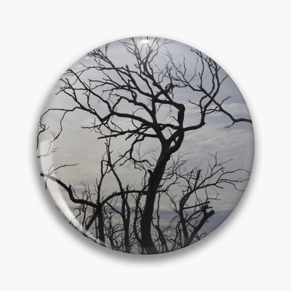 Item preview, Black dead Manna gum tree limbs, designed and sold by Anne Scantlebury.