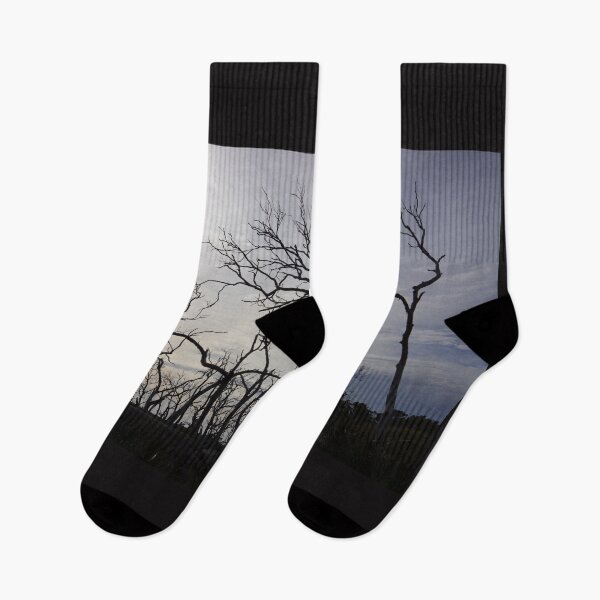 Item preview, Black dead Manna gum tree limbs, designed and sold by Anne Scantlebury.