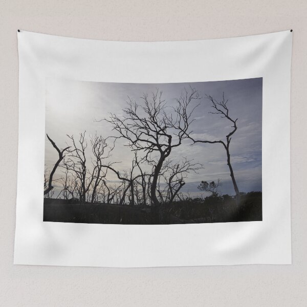 Item preview, Black dead Manna gum tree limbs, designed and sold by Anne Scantlebury.