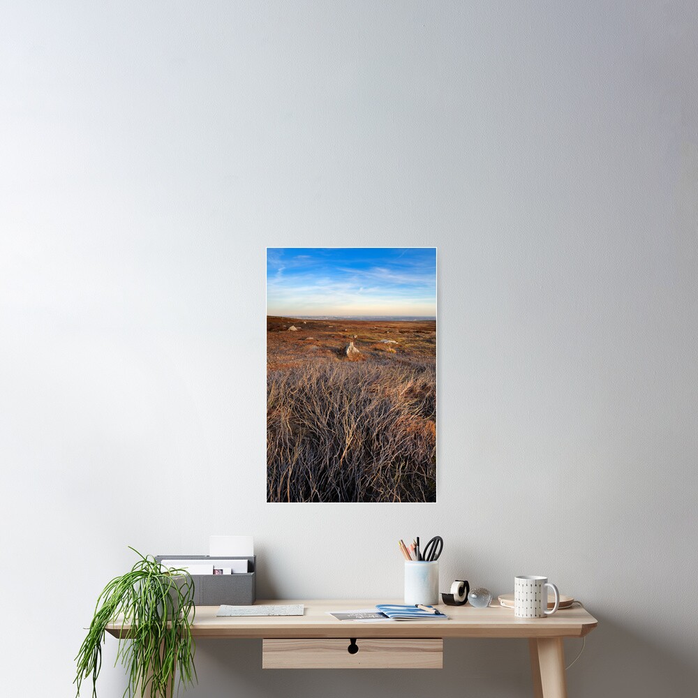 Item preview, Poster designed and sold by sjbowen.