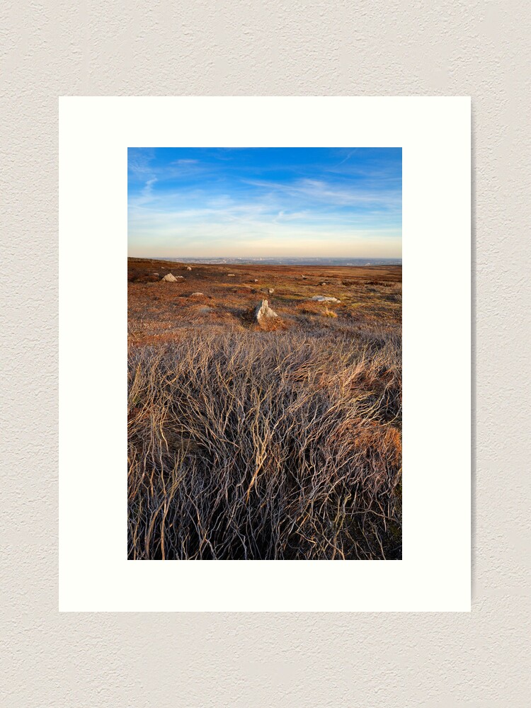 Thumbnail 1 of 3, Art Print, Moorland Textures designed and sold by sjbowen.