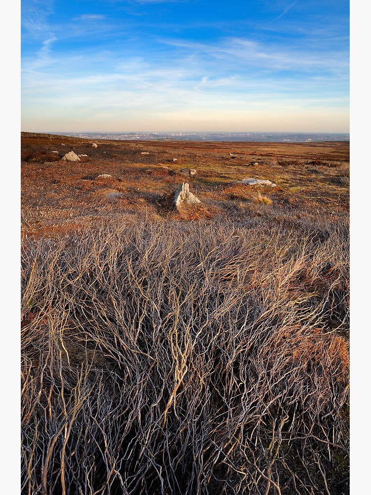 Thumbnail 3 of 3, Art Print, Moorland Textures designed and sold by sjbowen.