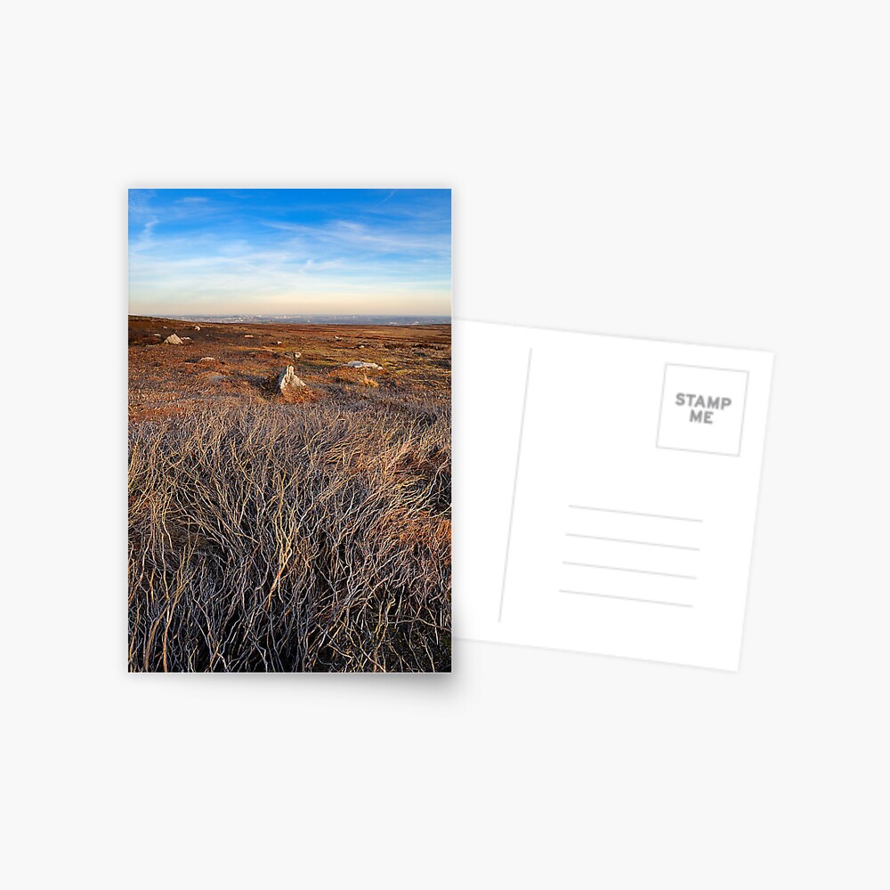 Item preview, Postcard designed and sold by sjbowen.