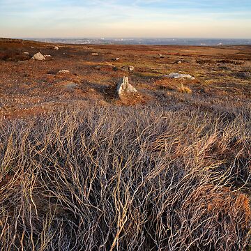 Artwork thumbnail, Moorland Textures by Simon Bowen