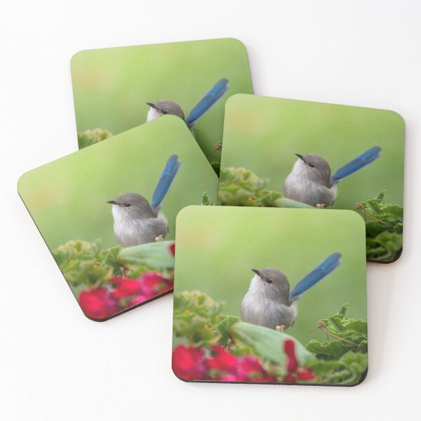 Item preview, Splendid Fairywren amongst flowers designed and sold by gwenthewren.