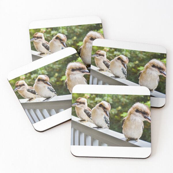 Item preview, Kookaburra Family - NSW designed and sold by offroadexposure.