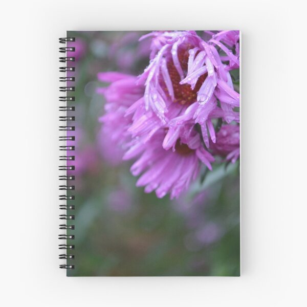 Aperçu de l'œuvre Flower study #1 créée et vendue par Scott Shelton.