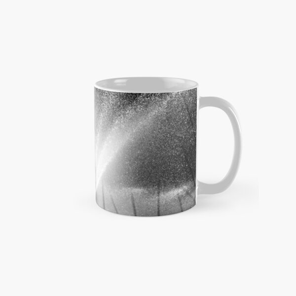 Waterperry fountain Classic Mug