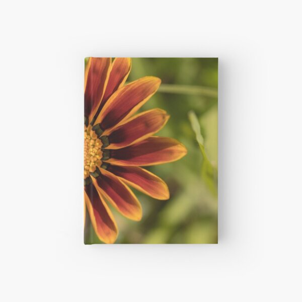 brightness from the gloom Hardcover Journal