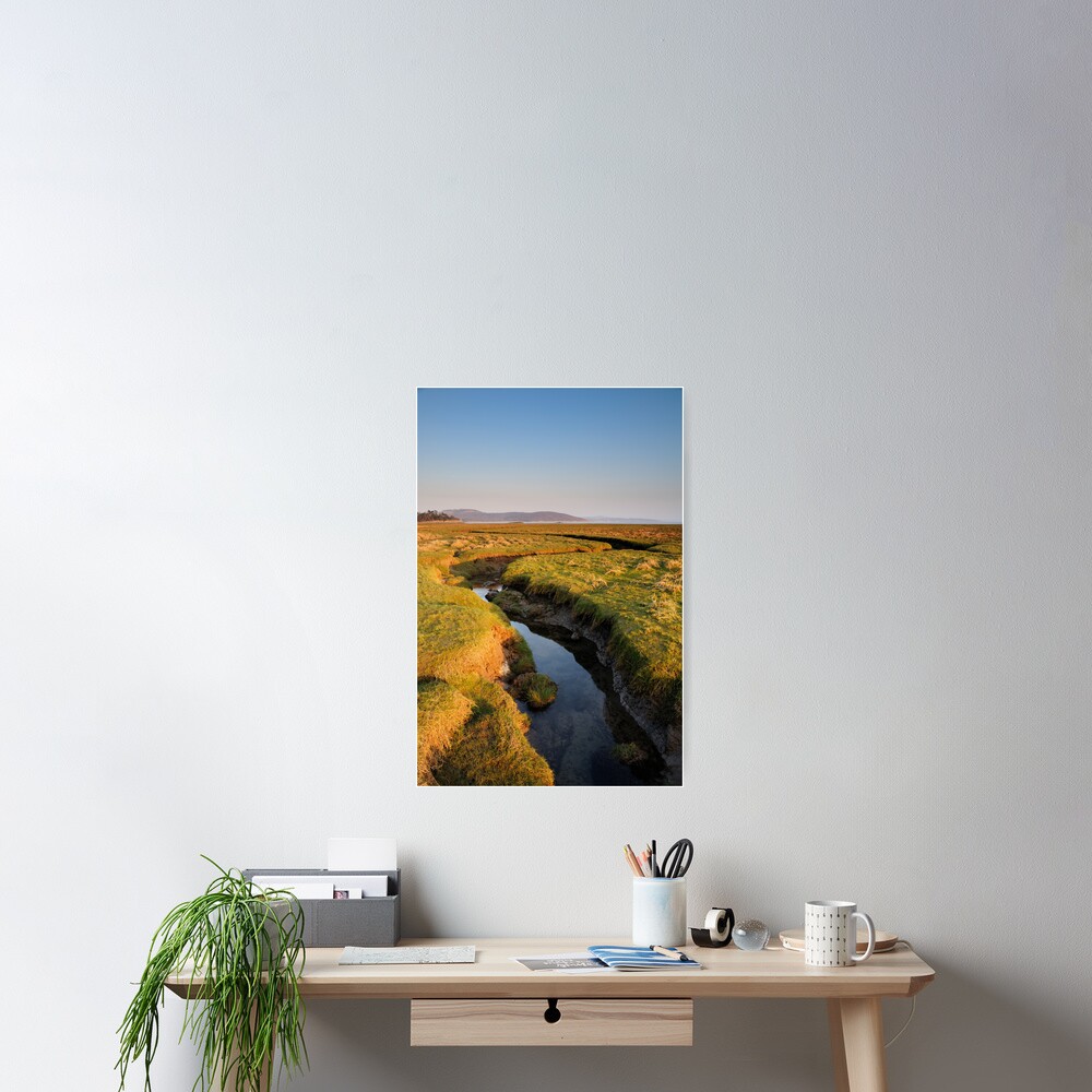 Item preview, Poster designed and sold by sjbowen.