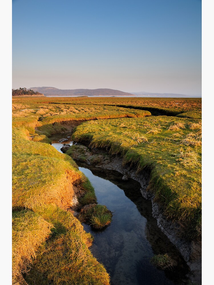 Thumbnail 3 of 3, Art Print, Grange Over Sands towards Silverdale designed and sold by sjbowen.