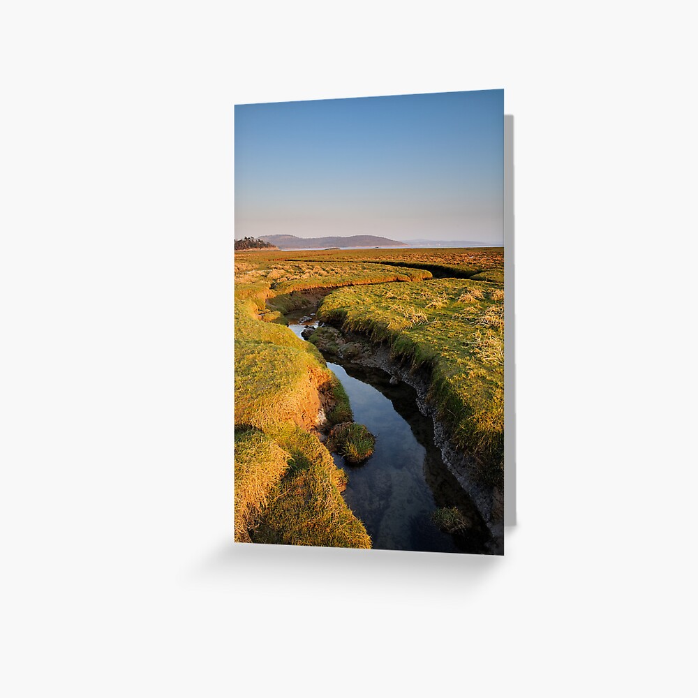 Item preview, Greeting Card designed and sold by sjbowen.