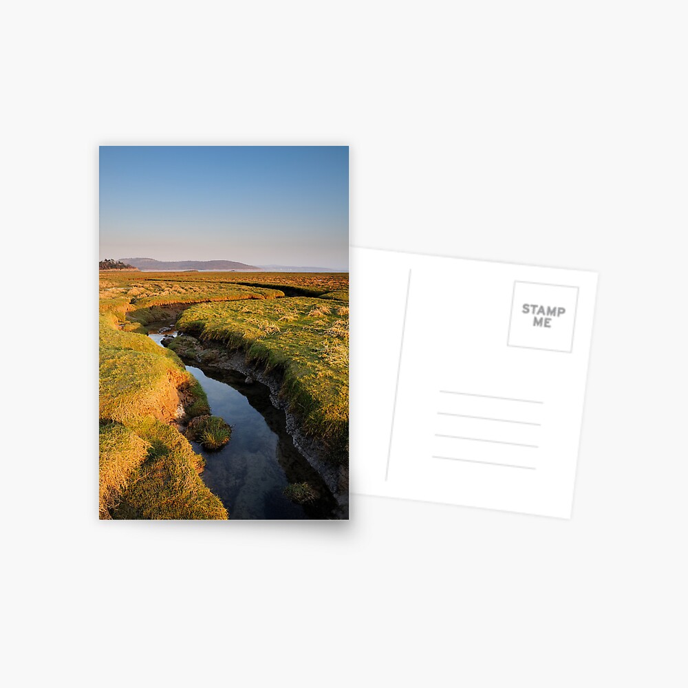 Item preview, Postcard designed and sold by sjbowen.