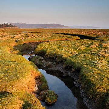 Artwork thumbnail, Grange Over Sands towards Silverdale by Simon Bowen