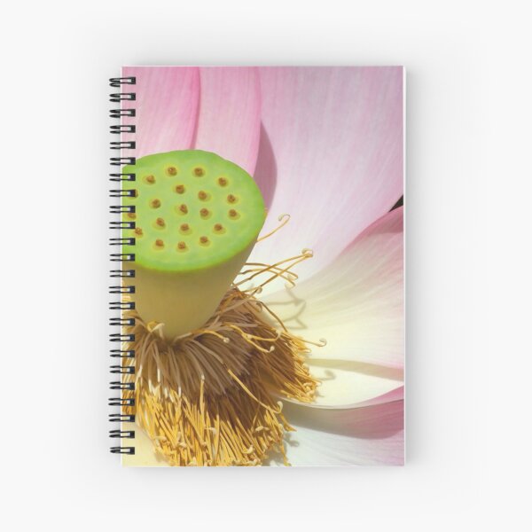 Pink Lotus Flower Photo Spiral Notebook