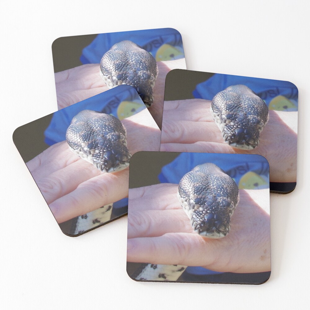 Item preview, Coasters (Set of 4) designed and sold by lezvee.