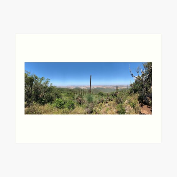 Bunya Mountains View Panorama Art Print