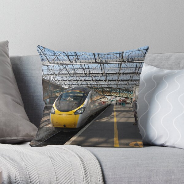 Carlisle Pendolino Throw Pillow
