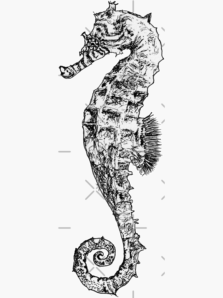 Melody the Seahorse by Wildcard-Sue