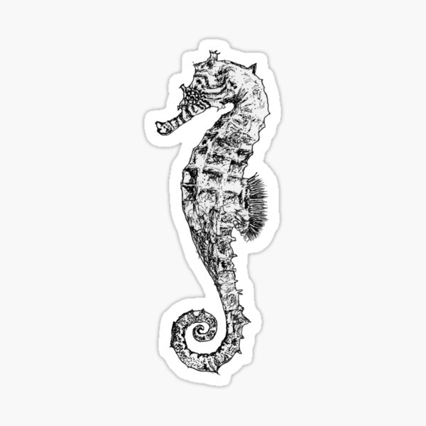 Melody the Seahorse Sticker