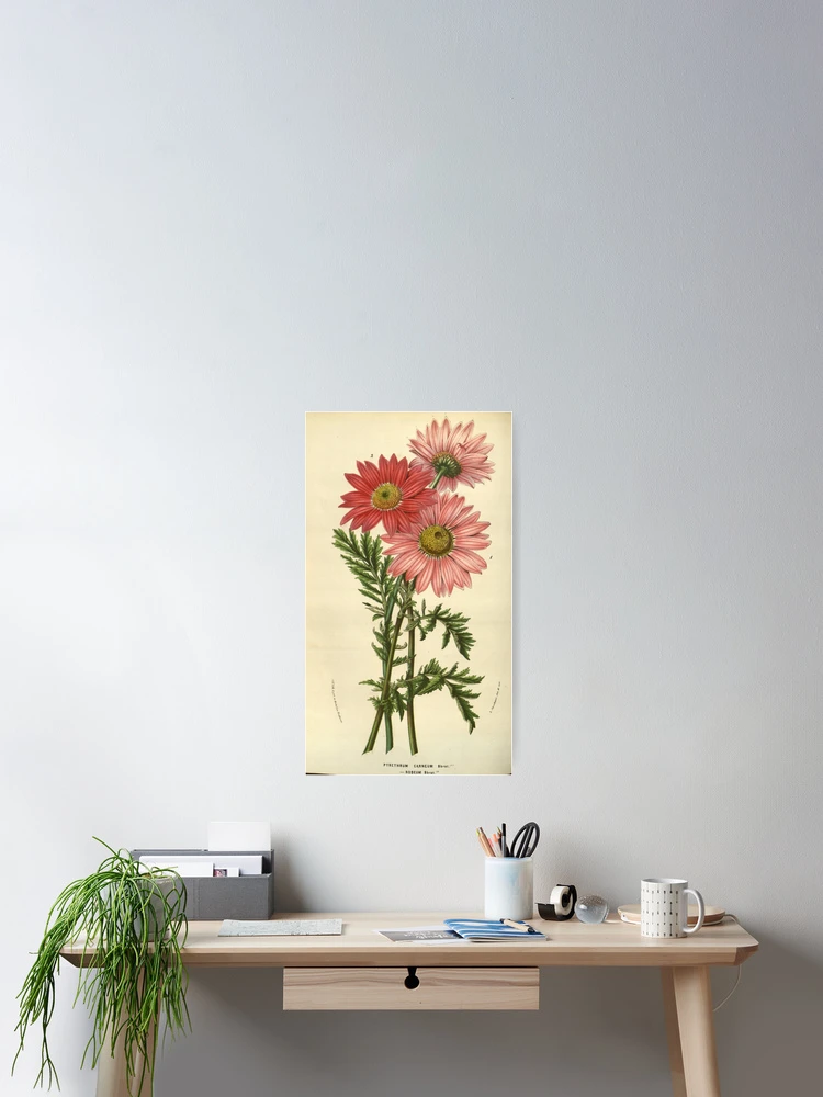 Imagen 2 de 3, Póster con la obra Flore des serres et des..., diseñada y vendida por Rodeoclash.