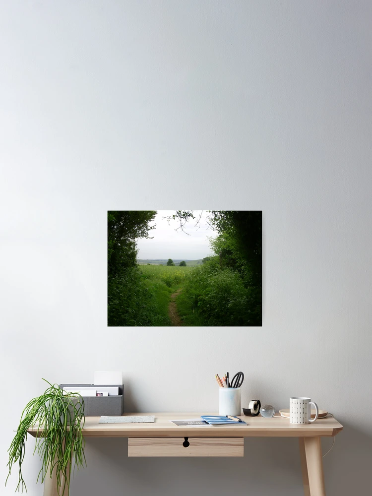 Thumbnail 2 of 3, Poster, Between 2 trees designed and sold by RoeyJr.