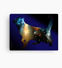 CELESTIAL CAT Canvas Print