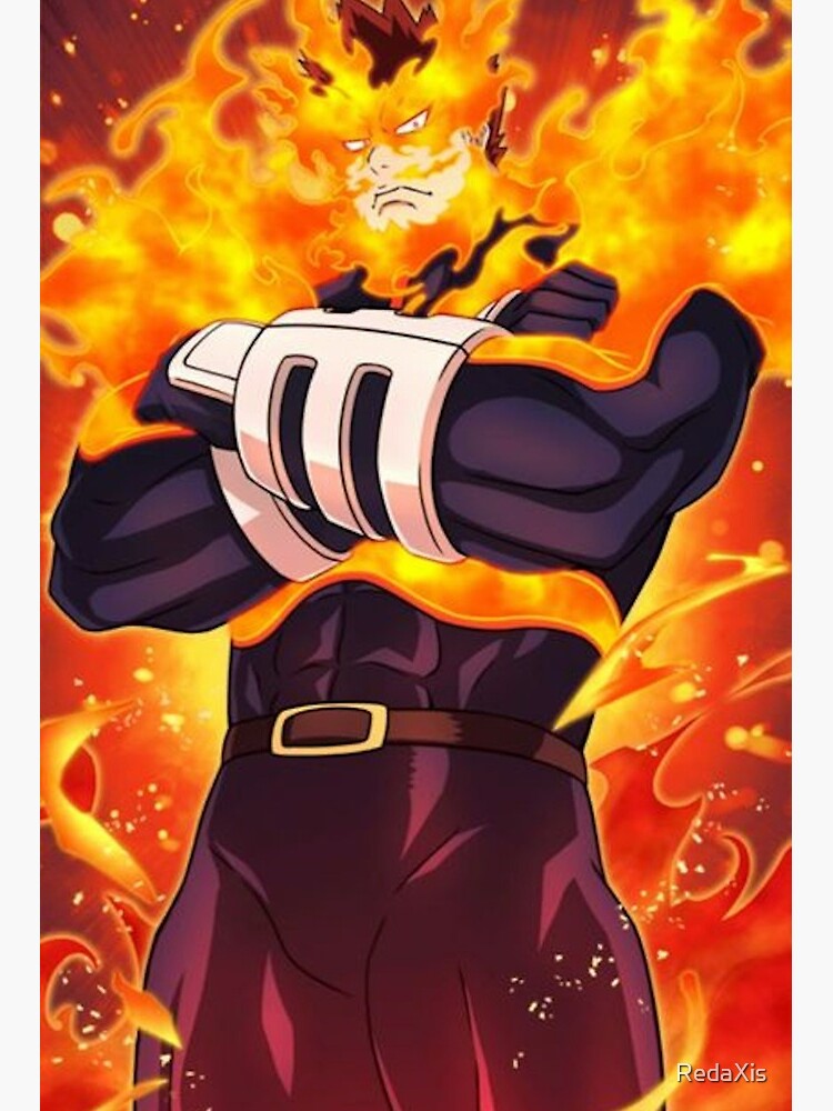 endeavour my hero academia - Online Discount Shop for Electronics, Apparel,  Toys, Books, Games, Computers, Shoes, Jewelry, Watches, Baby Products,  Sports & Outdoors, Office Products, Bed & Bath, Furniture, Tools, Hardware,  Automotive