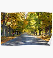 Northern Michigan Fall Trees Poster