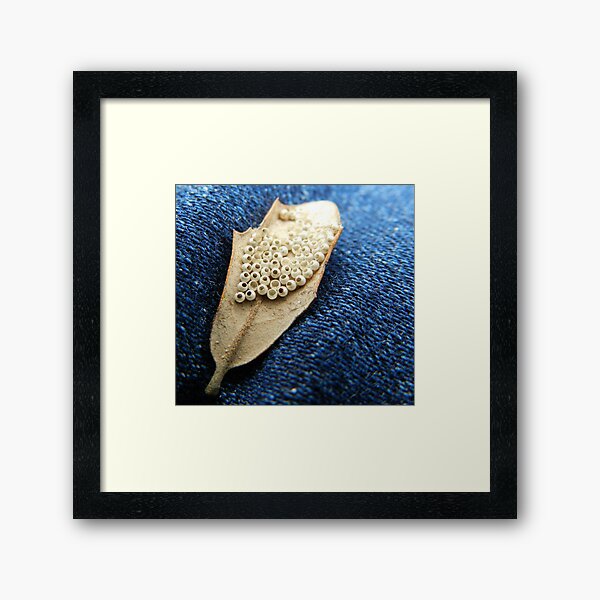 Item preview, Big World designed and sold by FullFontalNerd.
