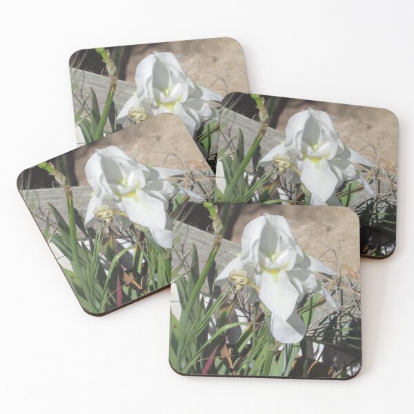 Item preview, White Slipper Orchid designed and sold by Dee121.