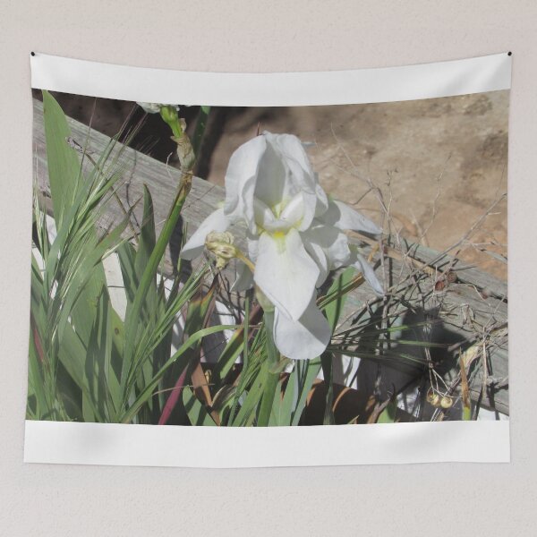 Item preview, White Slipper Orchid designed and sold by Dee121.