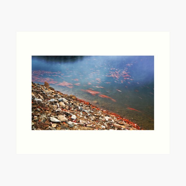 Leaf Flow Art Print