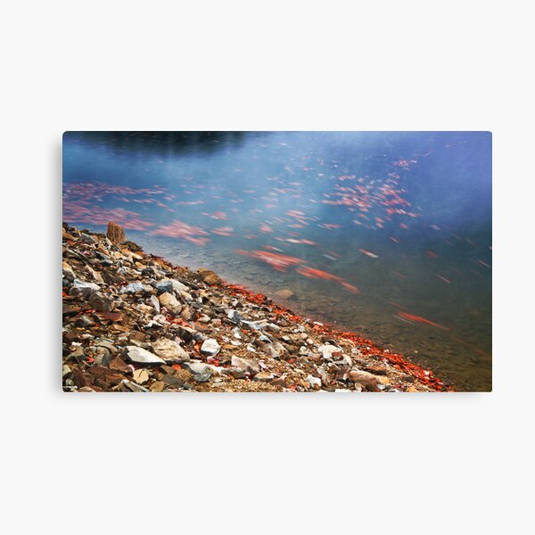 Leaf Flow Canvas Print