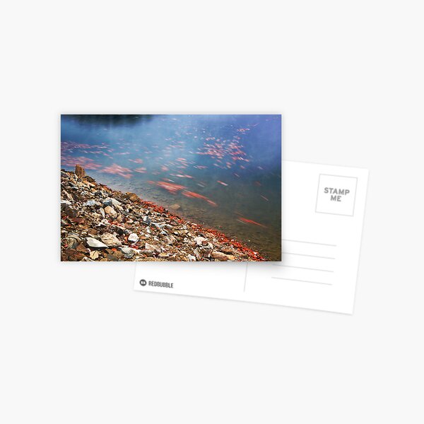 Leaf Flow Postcard
