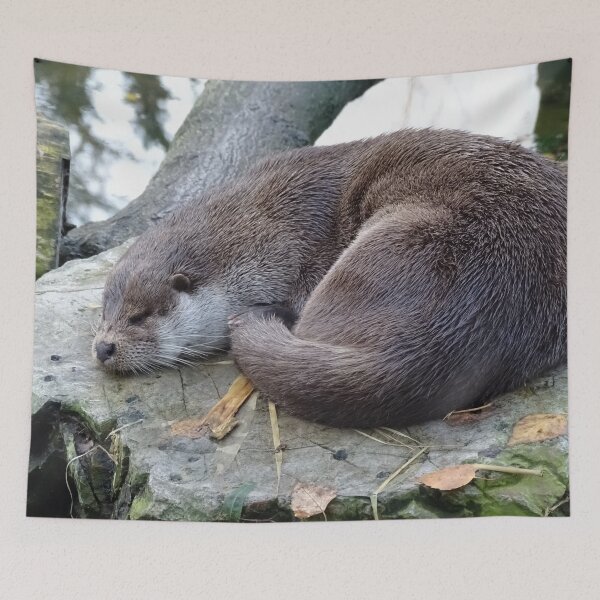 Item preview, Sleeping Otter designed and sold by Catavan.