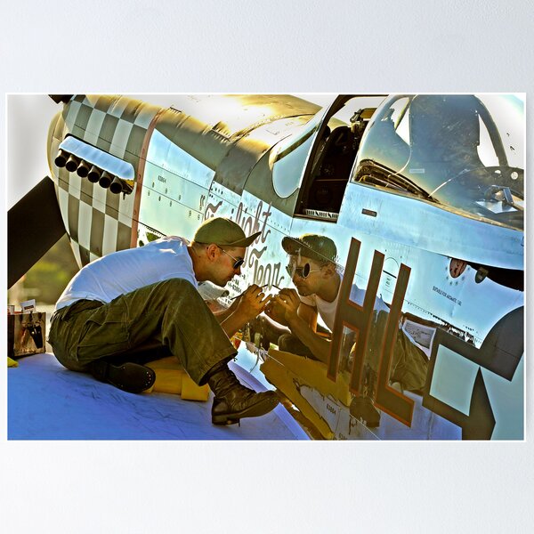 Item preview, P-51 Mustang paint designed and sold by Rod Reilly.