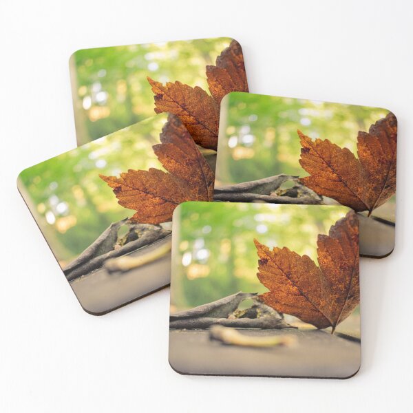 Item preview, Hoja de otoño en un banco designed and sold by MCphotoWorks.