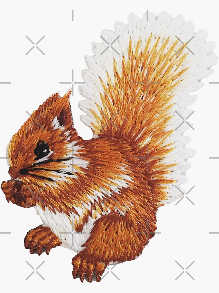 “Squirrel Sticker” Sticker by designolo | Redbubble