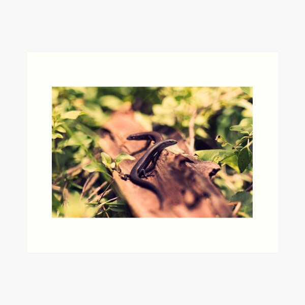 Item preview, Skink Love designed and sold by iltby.