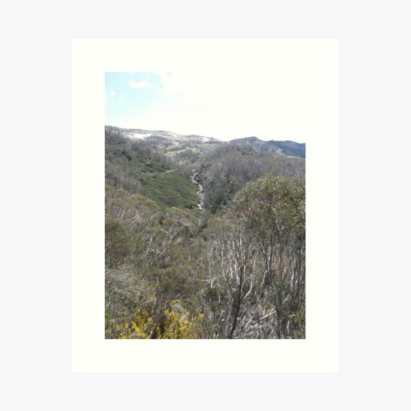 Item preview, NSW - Chair Lift View designed and sold by Solveig Winn.