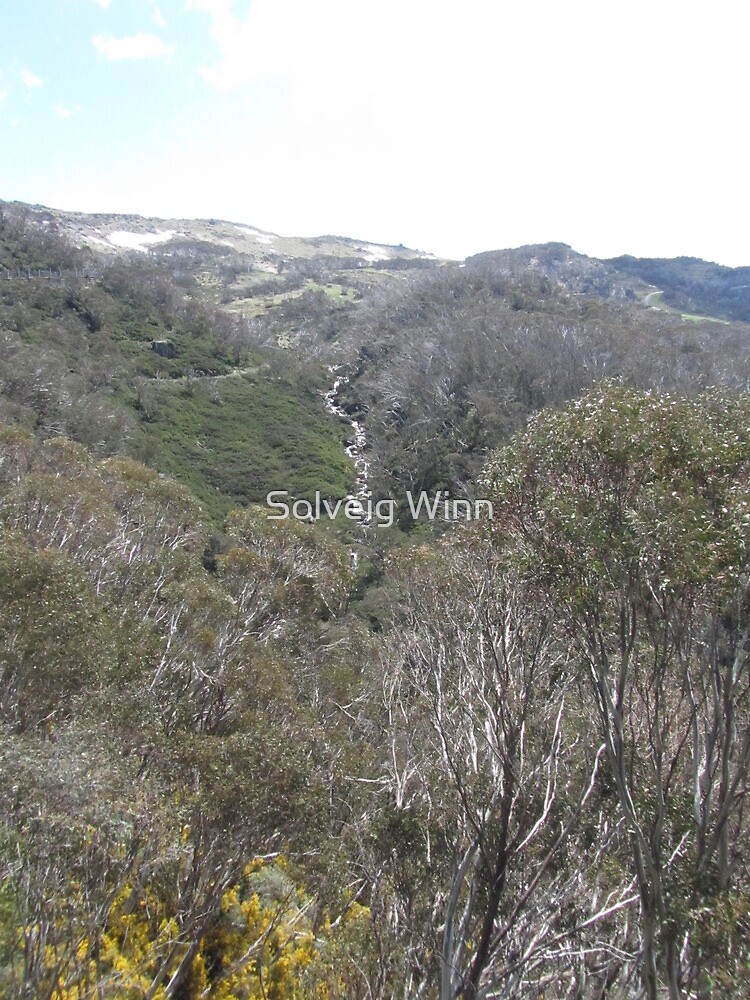 Thumbnail 3 of 3, Art Print, NSW - Chair Lift View designed and sold by soulimages.