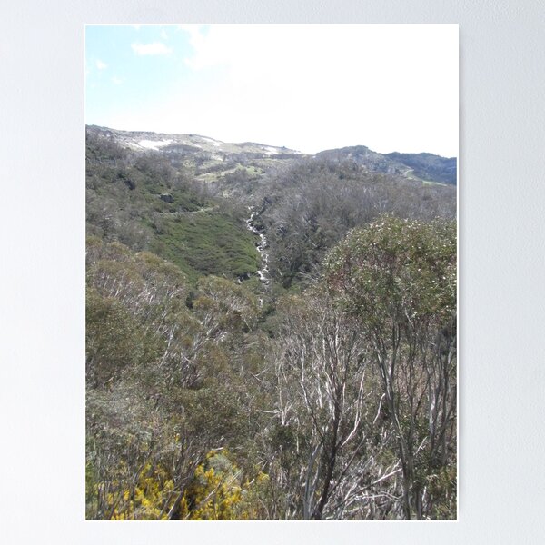 Item preview, NSW - Chair Lift View designed and sold by Solveig Winn.