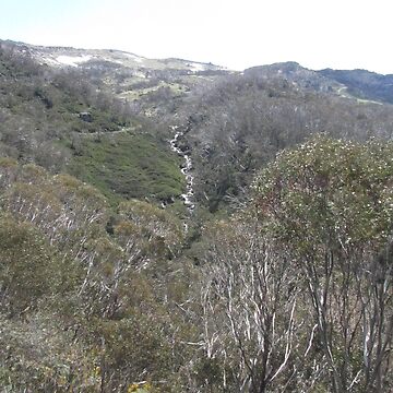 Artwork thumbnail, NSW - Chair Lift View by Solveig Winn