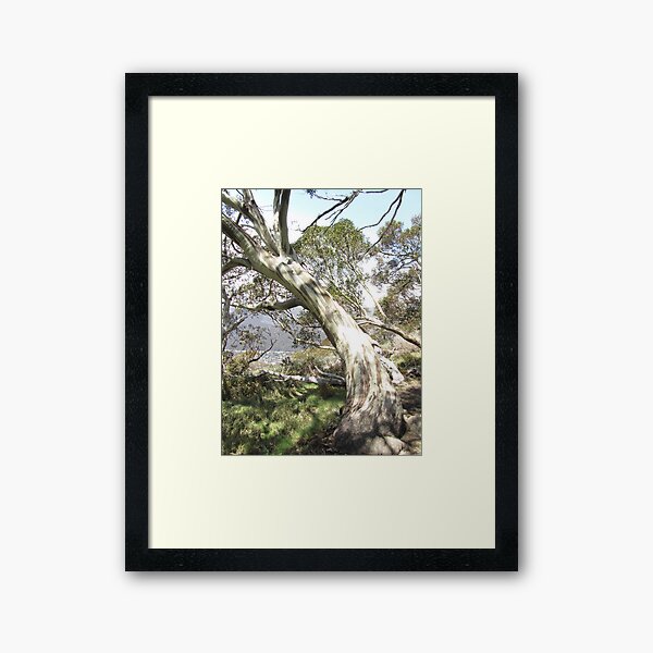 Item preview, NSW - Ghost Tree designed and sold by Solveig Winn.