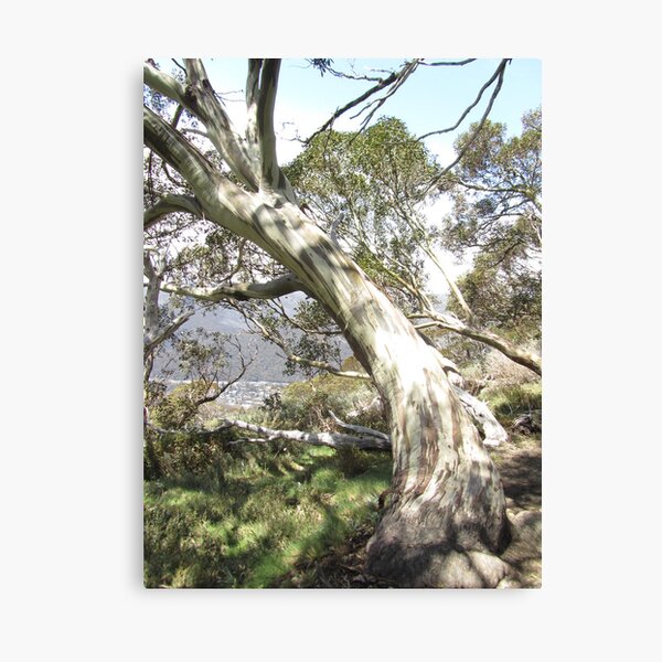 Item preview, NSW - Ghost Tree designed and sold by Solveig Winn.