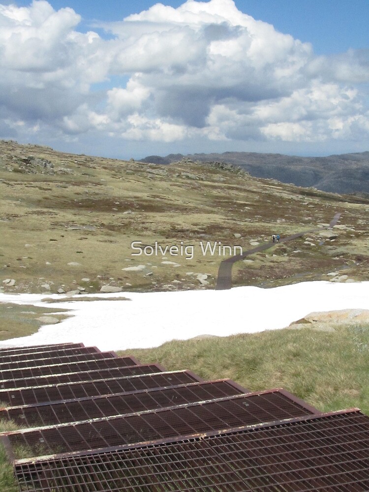 Thumbnail 3 of 3, Poster, NSW - Snow Field designed and sold by soulimages.
