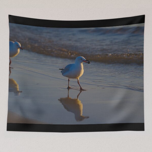 Item preview, A Seagull Carrying A Nut At Dawn designed and sold by Jason Gilbert.